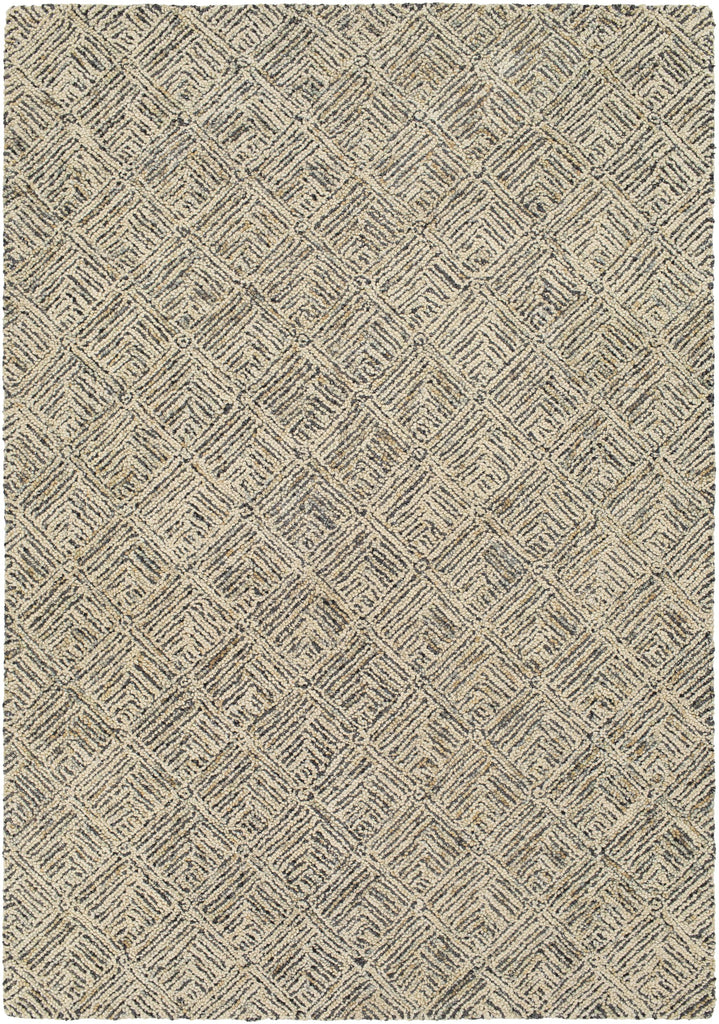 Surya Buford BUF-2300 Black Charcoal 2' x 3' Rug