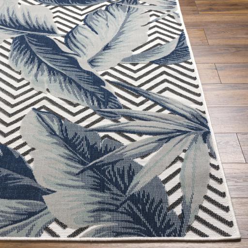 Surya Cabo CBO-2305 Beige Black 2'2" x 3'9" Rug