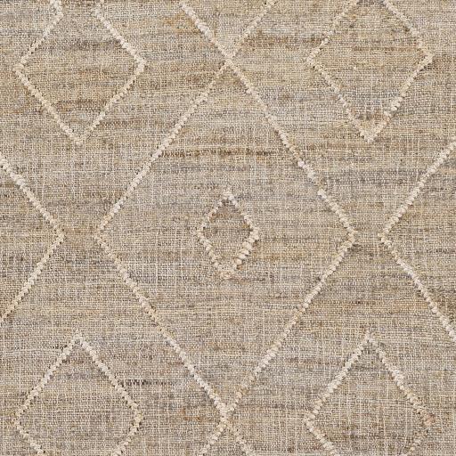 Surya Cadence CEC-2307 Brown Ivory 2' x 3' Rug