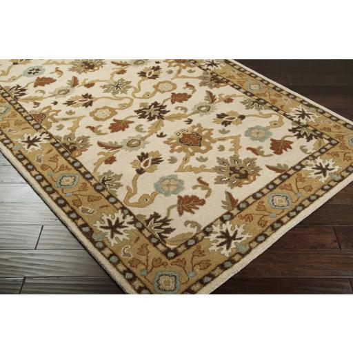 Surya Caesar CAE-1010 Brown Burnt Orange 4' Square Rug