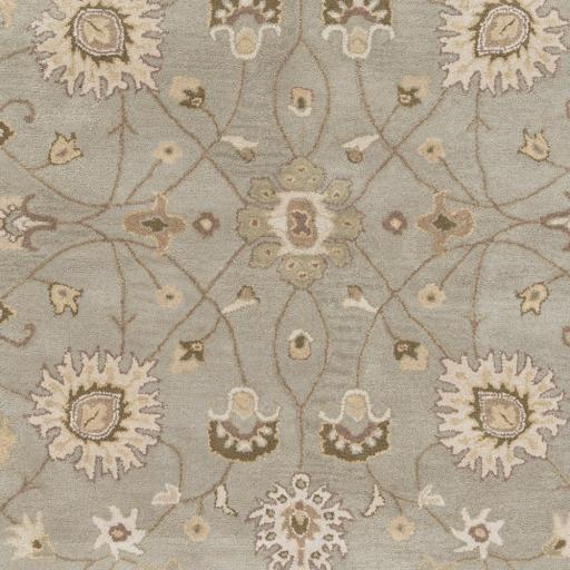 Surya Caesar CAE-1121 Gray Ivory 4' Square Rug