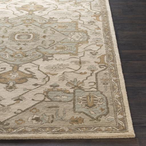 Surya Caesar CAE-1143 Beige Dark Brown 4' Square Rug