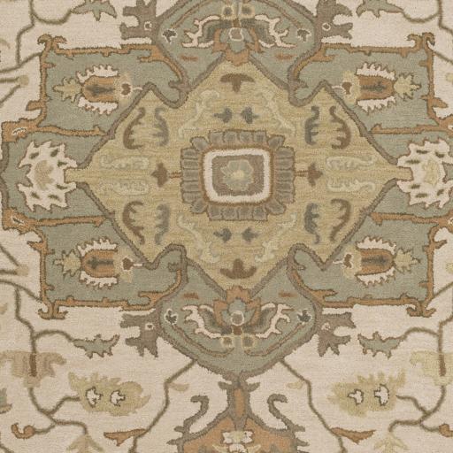 Surya Caesar CAE-1143 Beige Dark Brown 4' Square Rug