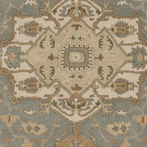 Surya Caesar CAE-1144 Beige Dark Brown 4' Square Rug