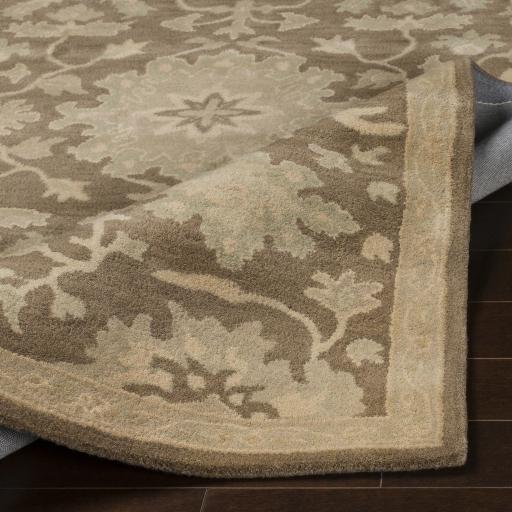 Surya Caesar CAE-1149 Beige Dark Brown 4' Round Rug