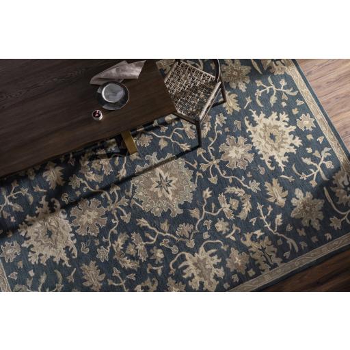 Surya Caesar CAE-1154 Brown Dusty Sage 10' x 14' Rug