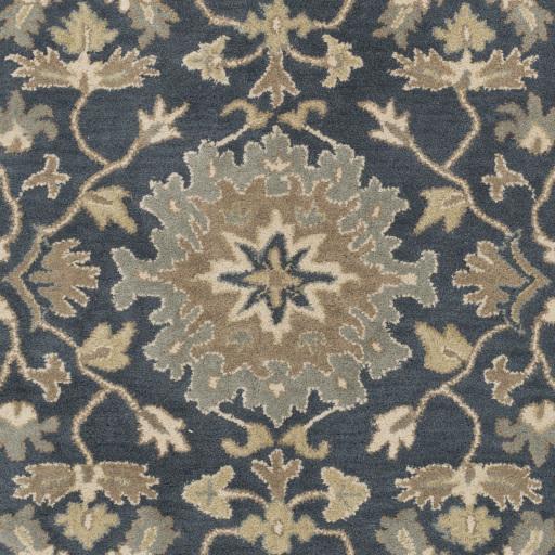 Surya Caesar CAE-1154 Brown Dusty Sage 10' x 14' Rug