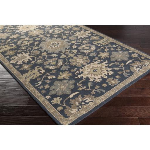 Surya Caesar CAE-1154 Brown Dusty Sage 10' x 14' Rug