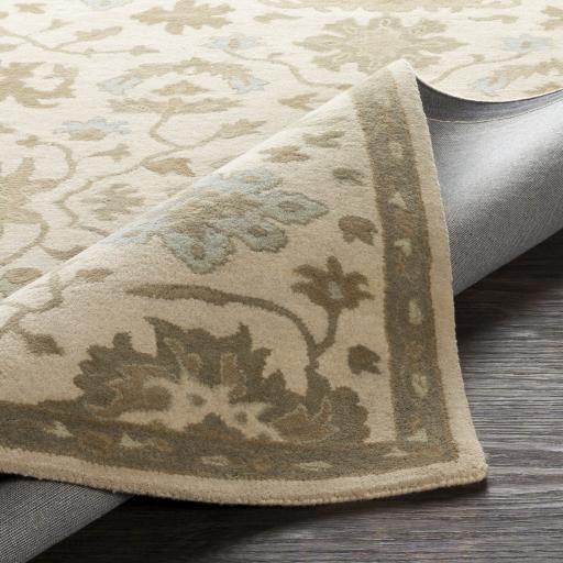 Surya Caesar CAE-1161 Light Beige Olive 4' Square Rug