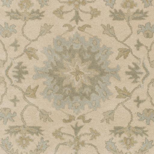 Surya Caesar CAE-1161 Light Beige Olive 4' Square Rug