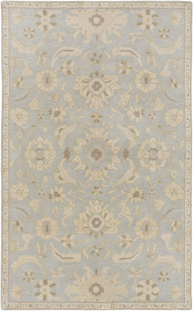 Surya Caesar CAE-1162 4' Square Rug