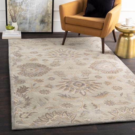 Surya Caesar CAE-1192 Ivory Light Brown 4' Square Rug