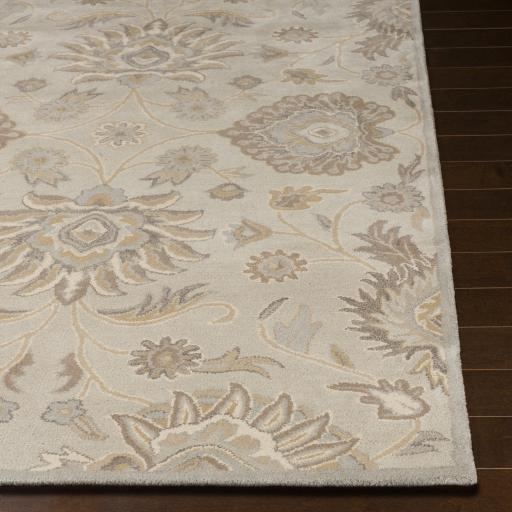 Surya Caesar CAE-1192 Ivory Light Brown 4' Square Rug