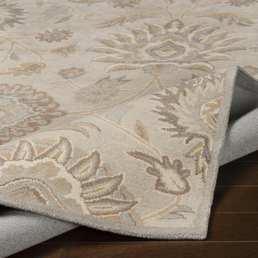 Surya Caesar CAE-1192 Ivory Light Brown 4' Square Rug