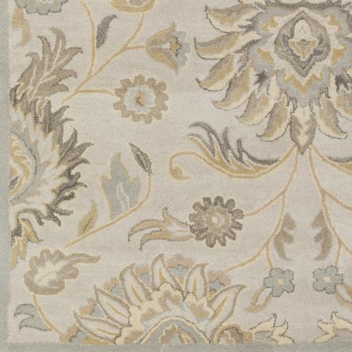 Surya Caesar CAE-1192 Ivory Light Brown 4' Square Rug