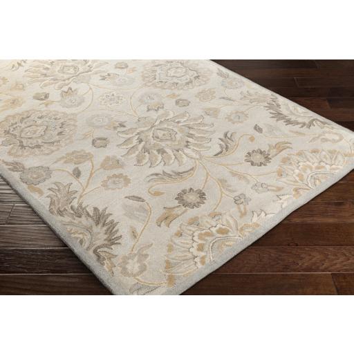 Surya Caesar CAE-1192 Ivory Light Brown 4' Square Rug