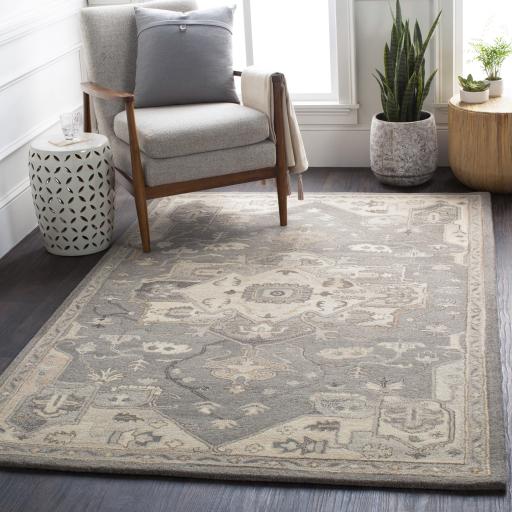 Surya Caesar CAE-1196 Black Brown 10' x 14' Rug