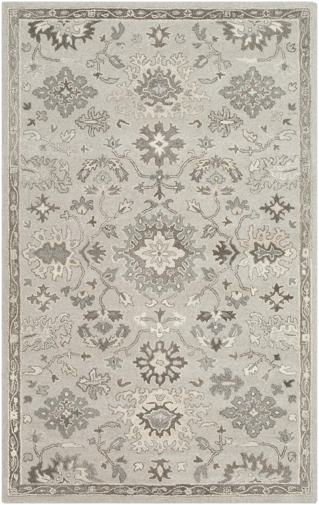 Surya Caesar CAE-1197 10' x 14' Rug