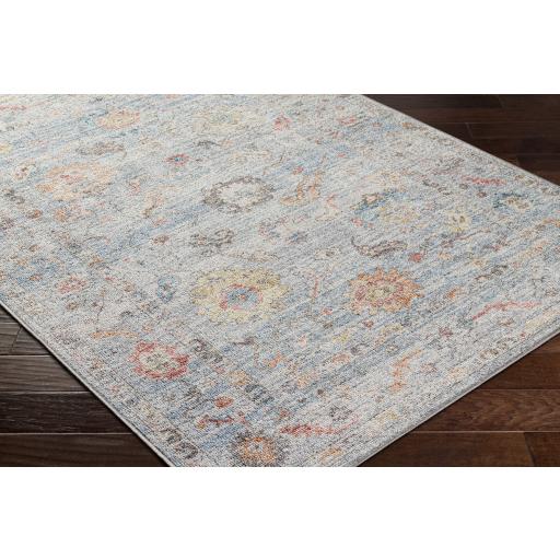 Surya Calhoun CAH-2302 Aqua Burnt Orange 2'7" x 7'3" Rug