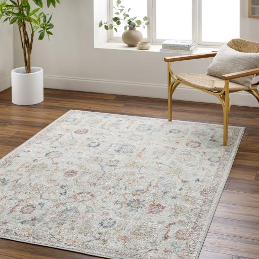 Surya Calhoun CAH-2303 Aqua Burnt Orange 2'8" x 4' Rug