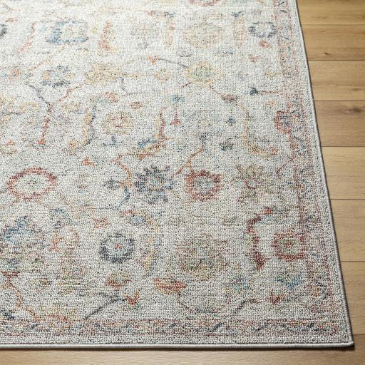 Surya Calhoun CAH-2303 Aqua Burnt Orange 2'8" x 4' Rug