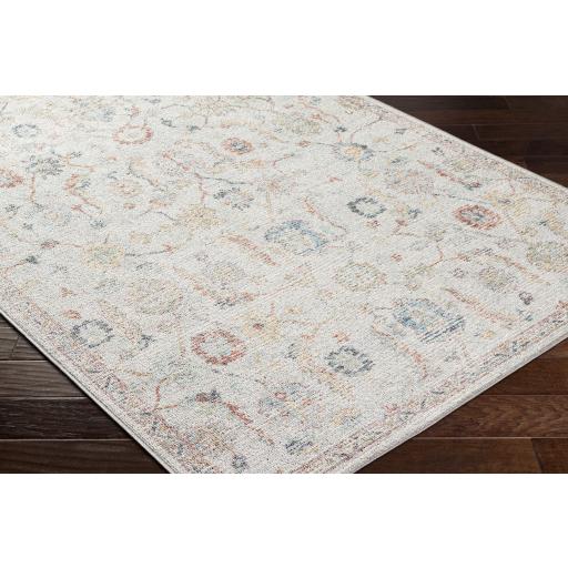 Surya Calhoun CAH-2303 Aqua Burnt Orange 2'8" x 4' Rug