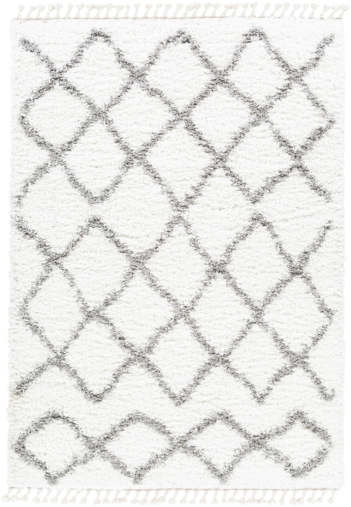 Surya California Shag CAF-2301 5'3" x 7'3" Rug