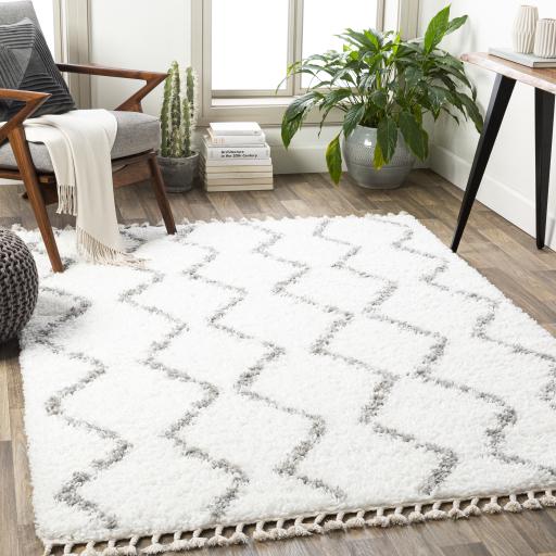 Surya California Shag CAF-2302 Gray Off-White 5'3" x 7'3" Rug