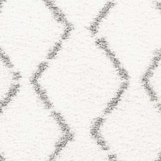 Surya California Shag CAF-2302 Gray Off-White 5'3" x 7'3" Rug