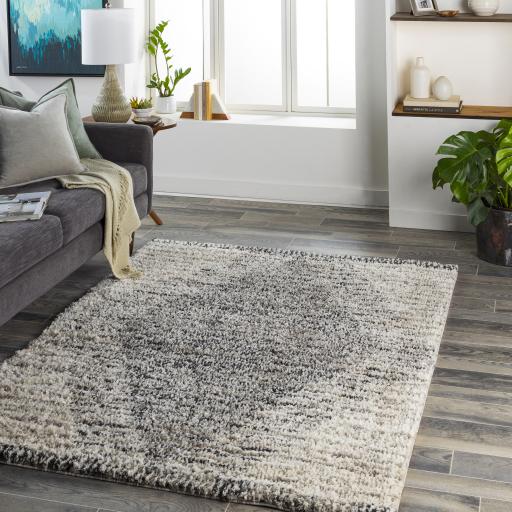 Surya Capella Shag CPS-2300 Black Ivory 5'3" x 7' Rug