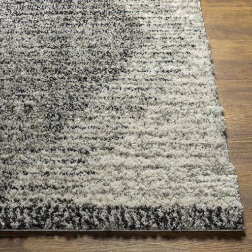 Surya Capella Shag CPS-2300 Black Ivory 5'3" x 7' Rug