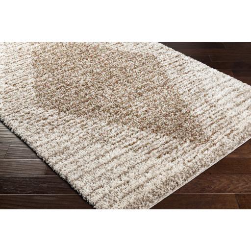 Surya Capella Shag CPS-2301 Burnt Orange Ivory 5'3" x 7' Rug