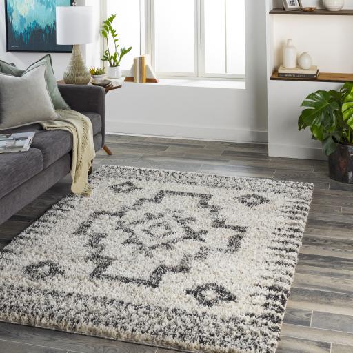 Surya Capella Shag CPS-2302 Black Gray 5'3" x 7' Rug