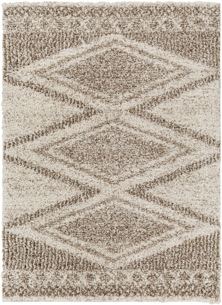 Surya Capella Shag CPS-2303 Beige Ivory 5'3" x 7' Rug