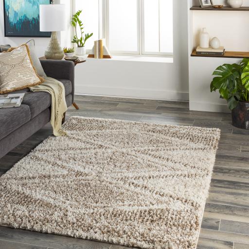 Surya Capella Shag CPS-2303 Beige Ivory 5'3" x 7' Rug