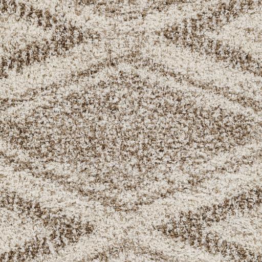 Surya Capella Shag CPS-2303 Beige Ivory 5'3" x 7' Rug