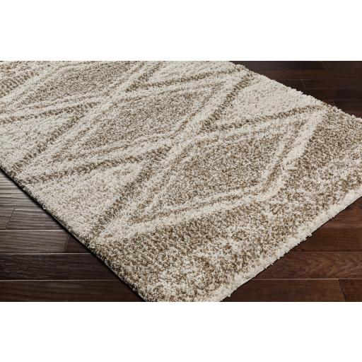 Surya Capella Shag CPS-2303 Beige Ivory 5'3" x 7' Rug