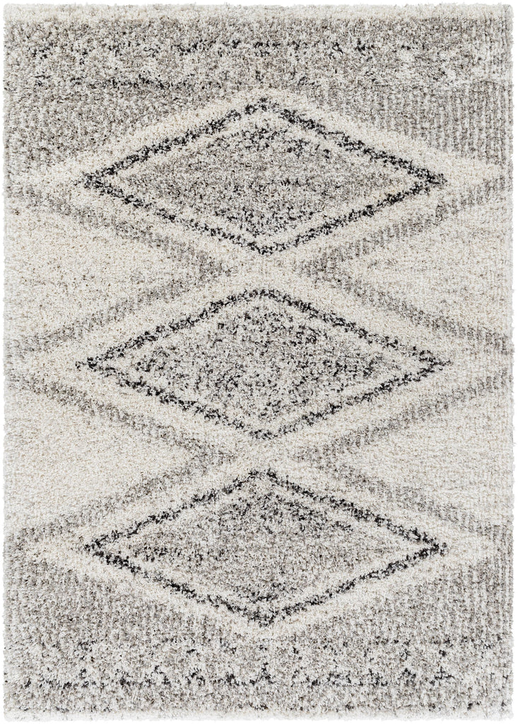 Surya Capella Shag CPS-2304 Black Gray 5'3" x 7' Rug