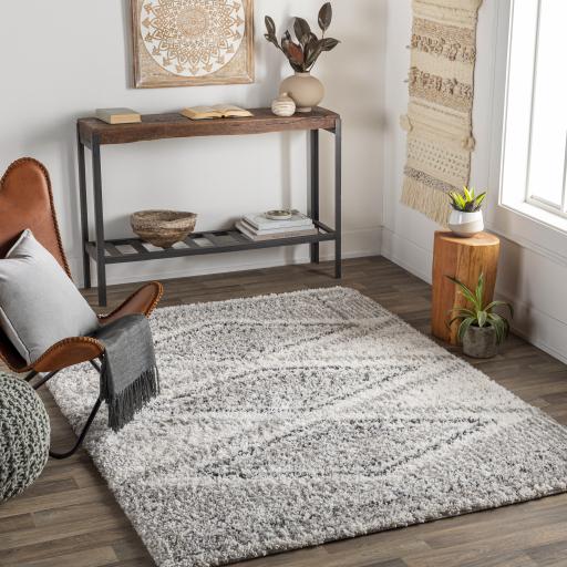 Surya Capella Shag CPS-2304 Black Gray 5'3" x 7' Rug