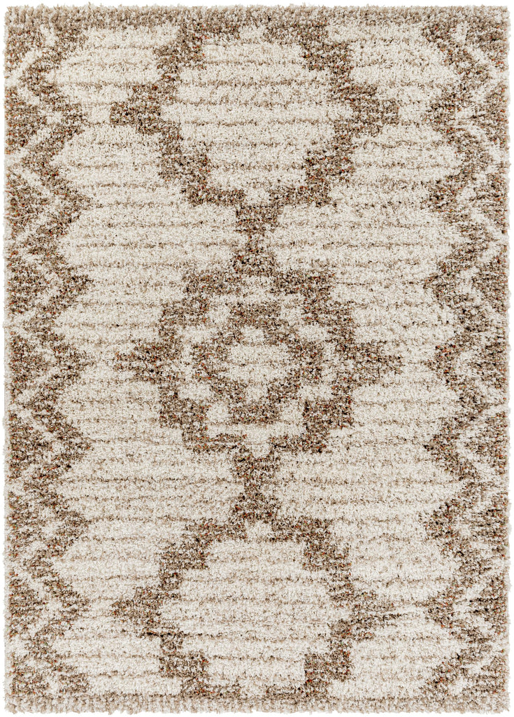 Surya Capella Shag CPS-2305 Beige Burnt Orange 5'3" x 7' Rug