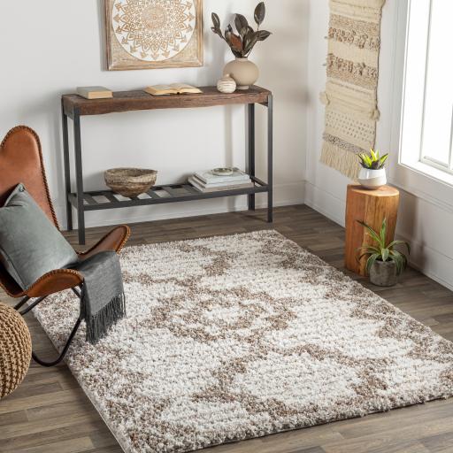 Surya Capella Shag CPS-2305 Beige Burnt Orange 5'3" x 7' Rug