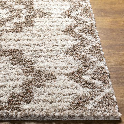 Surya Capella Shag CPS-2305 Beige Burnt Orange 5'3" x 7' Rug