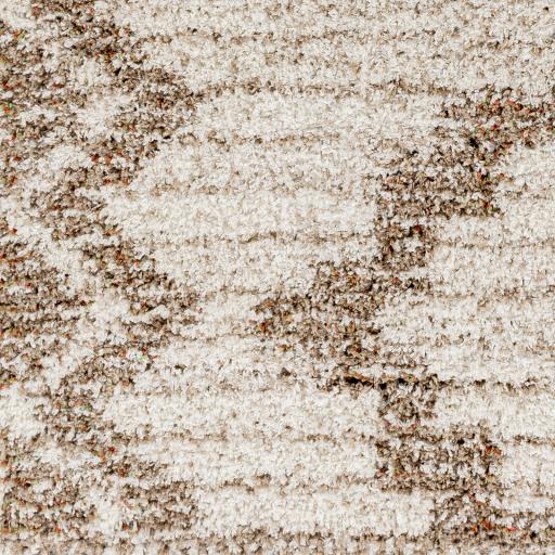 Surya Capella Shag CPS-2305 Beige Burnt Orange 5'3" x 7' Rug