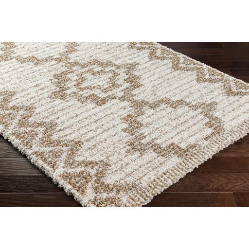 Surya Capella Shag CPS-2305 Beige Burnt Orange 5'3" x 7' Rug