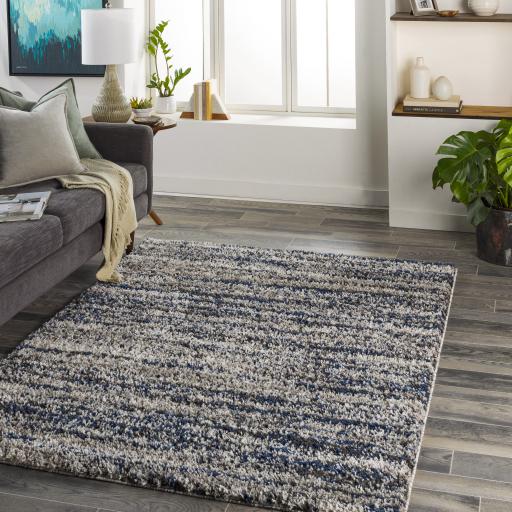 Surya Capella Shag CPS-2308 Black Dark Blue 5'3" x 7' Rug