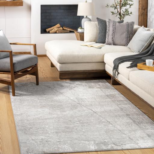 Surya Carmel CRL-2301 Gray Light Gray 10' x 13'11" Rug