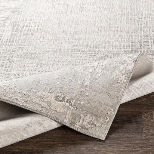 Surya Carmel CRL-2301 Gray Light Gray 7'10" x 10' Rug