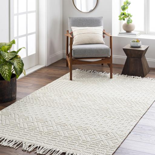 Surya Casa DeCampo CDC-2307 Ivory 8' x 10' Rug