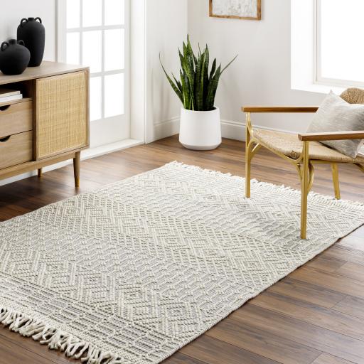 Surya Casa DeCampo CDC-2309 Ivory Light Gray 2'3" x 3'9" Rug