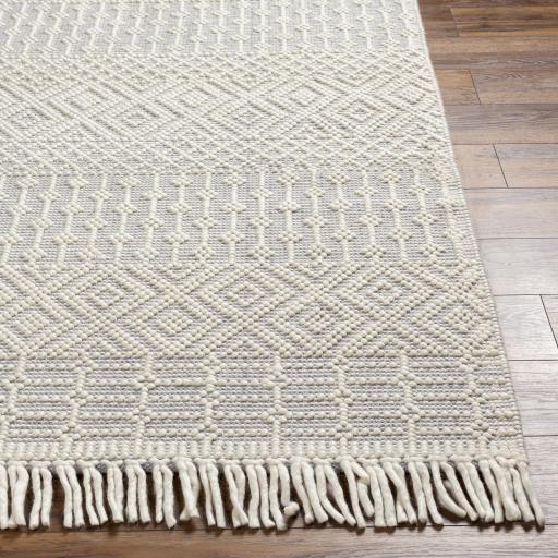 Surya Casa DeCampo CDC-2309 Ivory Light Gray 2'3" x 3'9" Rug